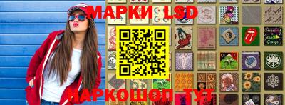 гидропоника Будённовск
