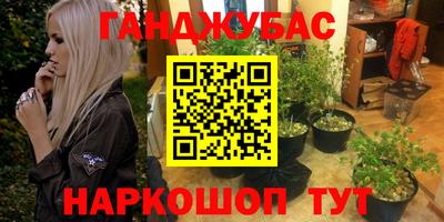 гидропоника Будённовск
