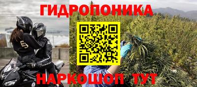 гидропоника Будённовск