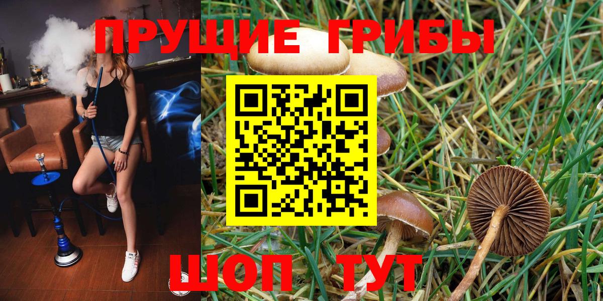Псилоцибиновые грибы GOLDEN TEACHER Усть-Лабинск