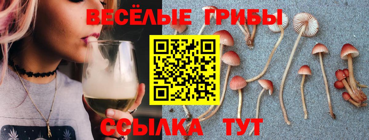 Усть-Лабинск  Псилоцибиновые грибы мухоморы  Вход с VPN  Псилоцибиновые грибы Psilocybine cubensis 